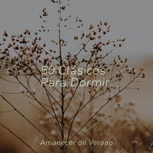 50 Clásicos Para Dormir - Meditation Relaxation Club