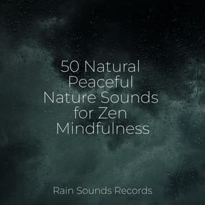 50 Natural Peaceful Nature Sounds for Zen Mindfulness - Spa & Spa