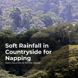 Soft Rainfall in Countryside for Napping - Rain Sounds & White Noise