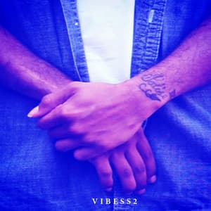 V I B E S S 2 - Tha Audio Unit