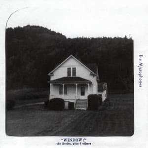 Window: - The Microphones