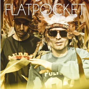 Geldfundphantasyen - Flatpocket
