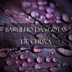 Barulho das Gotas de Chuva - Sons de Chuva e Trovoadas