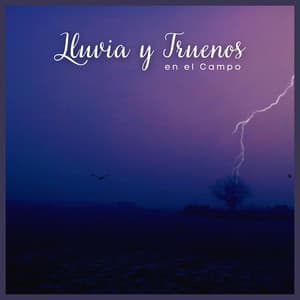 Lluvia y Truenos en el Campo - Sonidos de lluvia y ruido de fondo