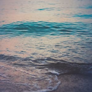 Sons da Natureza - Natureza