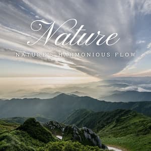 Rivers of Peace: Nature's Soothing Waters - River Sounds