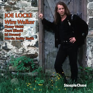 Wire Walker - Joe Locke