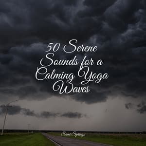 50 Serene Sounds for a Calming Yoga Waves - Ambient Rain