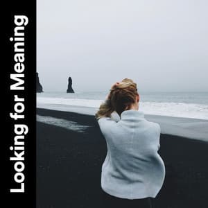 Looking for Meaning - Music Body and Spirit
