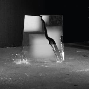 The Beauty of Disaster - J.Peter Schwalm