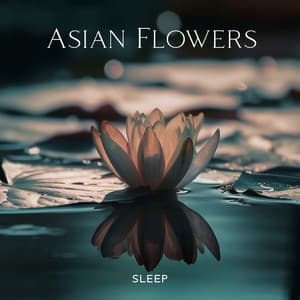 Asian Flowers Sleep - Buddha Music Sanctuary
