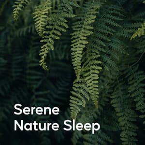 Serene Nature Sleep - Nature Chillout