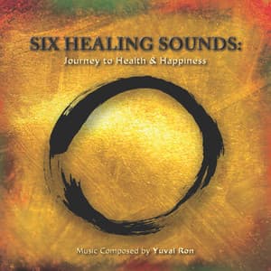 Six Healing Sounds - Yuval Ron