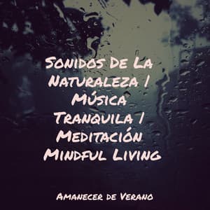 Sonidos De La Naturaleza | Música Tranquila | Meditación Mindful Living - Relajación