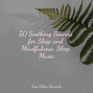 50 Soothing Sounds for Sleep and Mindfulness: Sleep Music - Musica Romantica