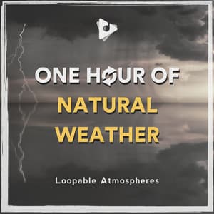1 Hour Of Natural Weather - Loopable Atmospheres