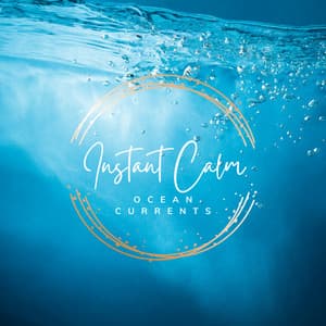Instant Calm vol. 1 - Ocean Currents