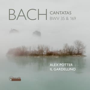 Bach: Cantatas, BWV 35 & 169 - Johann Sebastian Bach