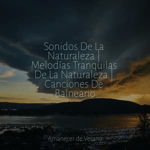 Sonidos De La Naturaleza | Melodías Tranquilas De La Naturaleza | Canciones De Balneario - Bedtime Baby