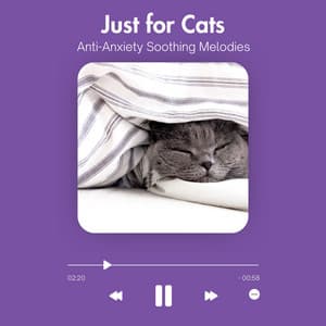 Just for Cats - Anti-Anxiety Soothing Melodies - Relax My Cat