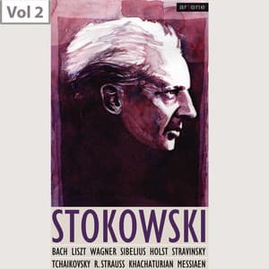 Leopold Stokowski, Vol. 2 - Leopold Stokowski/Symphony Orchestra