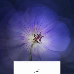 Music for Spring Rest - Big Band Ballad with Guitar - Lounge Music Cafe