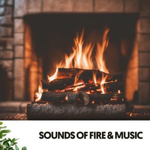 Sounds of Fire & Music: Burning Melodies under the Moon - Dog Relaxation