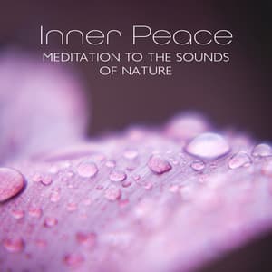 Inner Peace: Meditation to the Sounds of Nature, Mind Relaxation Music, Musical Therapy, Night Rain, Nature Escapes, Peaceful Retreat - Anandra