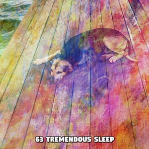 63 Tremendous Sleep - Relaxing Music For Sleeping