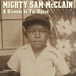 A Diamond in the Rough - Mighty Sam McClain