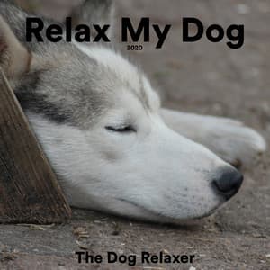 Relax My Dog - The Dog Relaxer