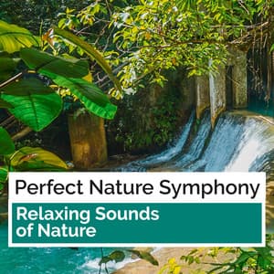Perfect Nature Symphony - Relaxing Sounds Of Nature