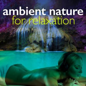 Ambient Nature for Relaxation - Ambient Nature Sounds
