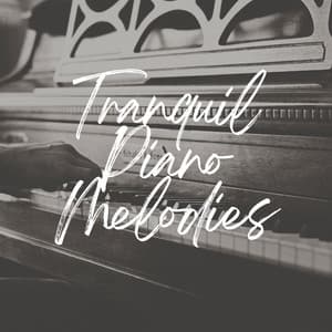 Tranquil Piano Melodies - Piano for Studying