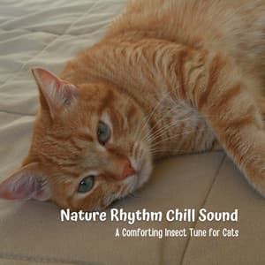 Nature Rhythm Chill Sound: A Comforting Insect Tune for Cats - Dao Nature