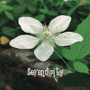 Serendipity - Relaxing Piano Music