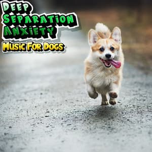 Music To Help Anxious Dogs Stay At Home Alone - Deep Separation Anxiety Music For Dogs