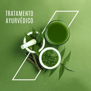 Tratamento Ayurvédico: Massagem Spa com Música Calmante, Sessão de Reiki, Meditação de Cura - Ayurveda