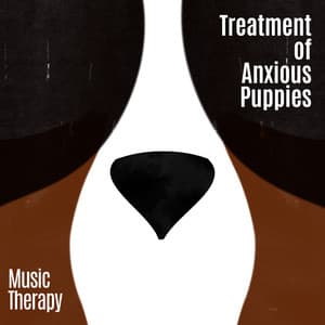 Treatment of Anxious Puppies - Music Therapy: Healing with New Age Sounds, Relaxing & Calming Music, Antistress, Insomnia, Anxiety - Animal Melody Wizard