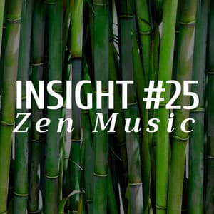 Insight #25 - Zen Music - Ambient Arena