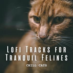 Chill Cats: Lofi Tracks for Tranquil Felines - ChillHop Beats