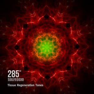 285 Hz Solfeggio Frequencies - Tissue Regeneration Tones - Solfeggio Frequencies