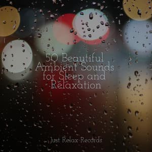50 Beautiful Ambient Sounds for Sleep and Relaxation - Chillout Lounge