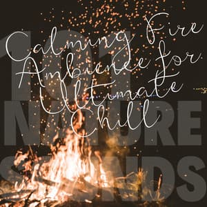 Calming Fire Ambience for Ultimate Chill - 101 Nature Sounds