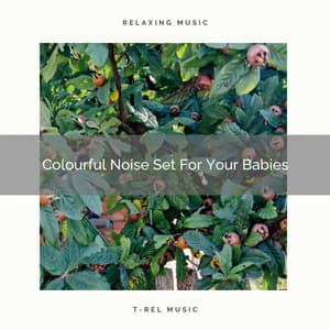 Colourful Noise Set For Your Babies - Ocean Sleep Sounds