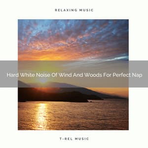 Hard White Noise Of Wind And Woods For Perfect Nap - Noise Makers