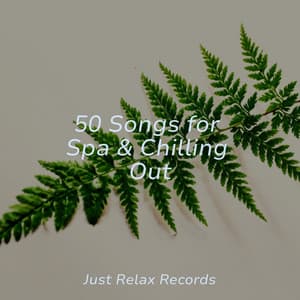 50 Songs for Spa & Chilling Out - Japanese Relaxation and Meditation