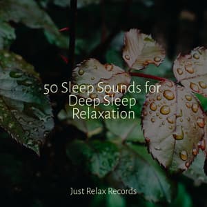 50 Sleep Sounds for Deep Sleep Relaxation - Anxiety Relief
