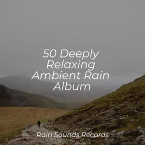 50 Deeply Relaxing Ambient Rain Album - Sounds of Nature White Noise for Mindfulness, Meditation and Relaxation