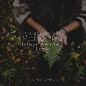 50 Sonidos De Meditación Para Trabajar Y Aliviar El Estrés - PowerThoughts Meditation Club